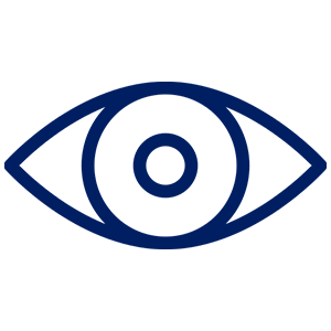 vision vision